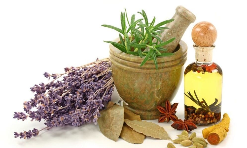 Plantas medicinales en la lucha contra las varices en las piernas.